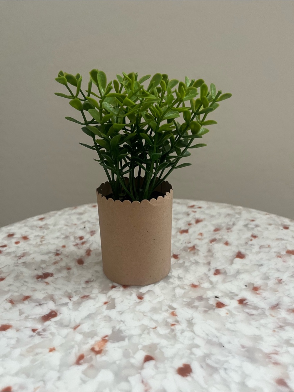 Small Green Faux Plant in Scalloped Kraft Pot